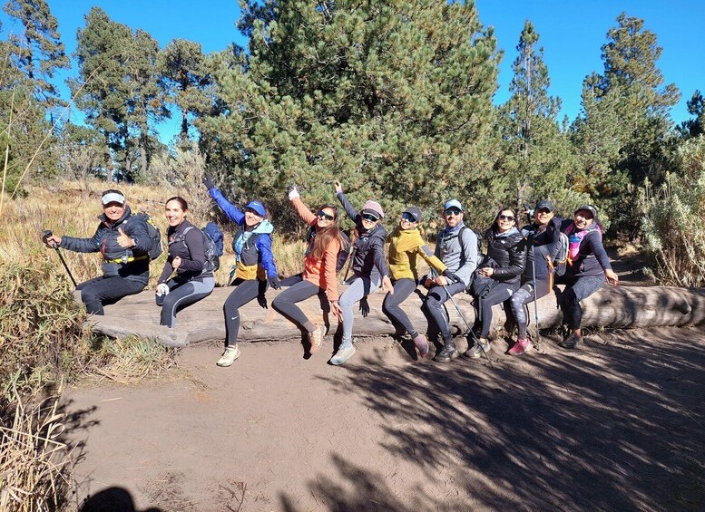 Picture 5 for Activity From Puebla: 7-Hour Malinche Volcano Hiking Tour