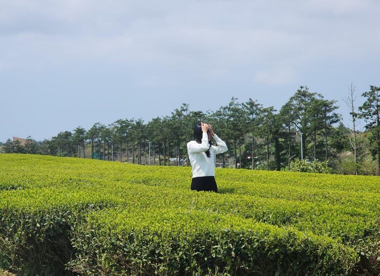 Picture 10 for Activity Jeju Island: South Unesco Guided Tour