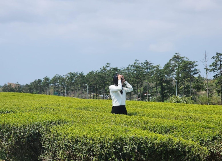 Picture 4 for Activity Jeju Island: Southern UNESCO Spots Day Tour