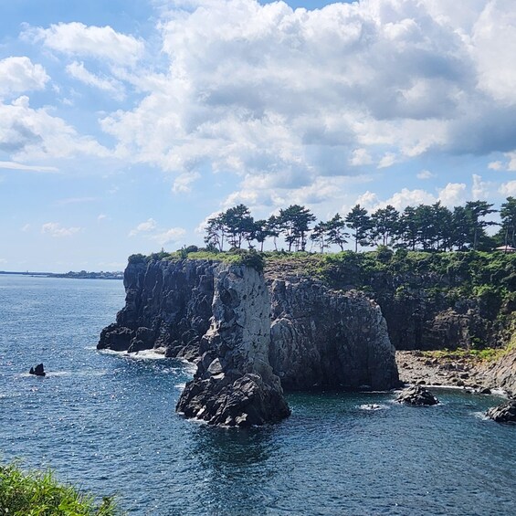 Picture 8 for Activity Jeju-si: Jeju Island South Guided Tour