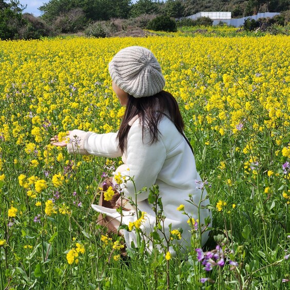 Picture 14 for Activity Jeju-si: Jeju Island South Guided Tour