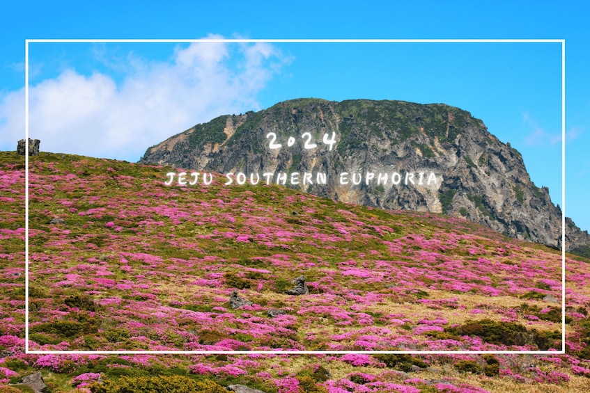 Picture 5 for Activity Jeju Island: Southern UNESCO Spots Day Tour