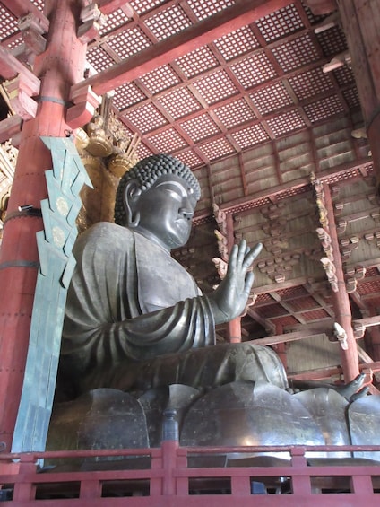 Nara: Budda gigante, cervi liberi nel parco (guida italiana)