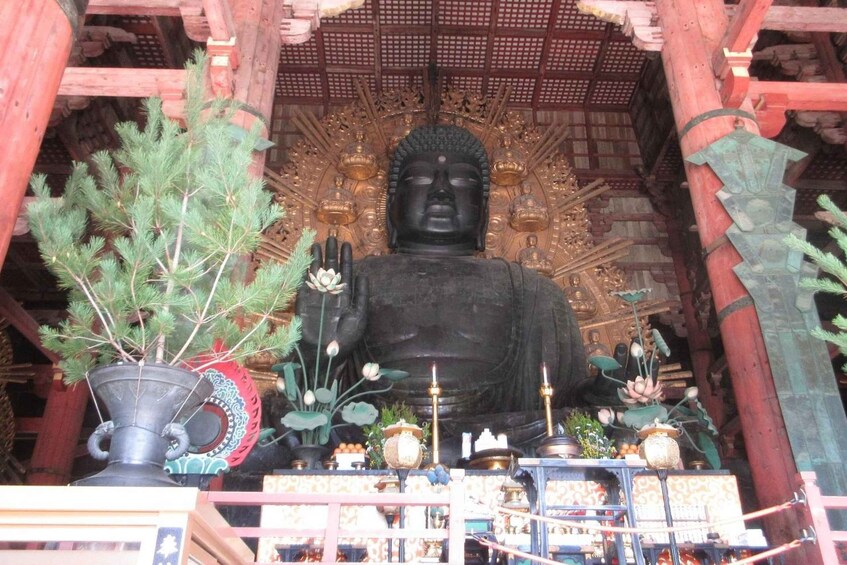 Picture 2 for Activity Nara: Budda gigante, cervi liberi nel parco (guida italiana)