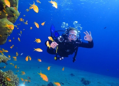Eliat: Introduction to Scuba Diving