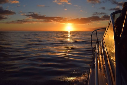 Madeira: Private Sunset Yacht Cruise with Snorkelling & Wine