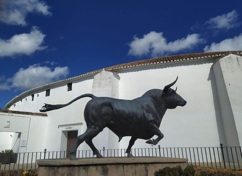 Picture 4 for Activity Private tour in Ronda