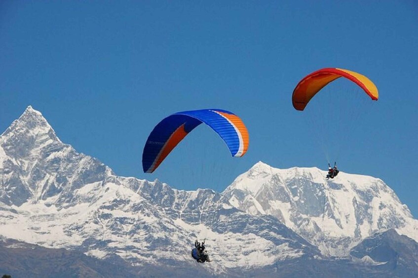 Picture 13 for Activity Pokhara: Pokhara Highlights Tour by Bus