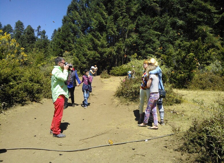 Picture 2 for Activity Morelia: Monarch Butterfly Tour