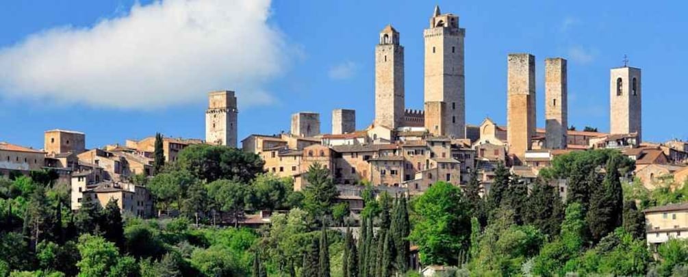 Picture 4 for Activity Private tour from Livorno port to San Gimignano & Volterra