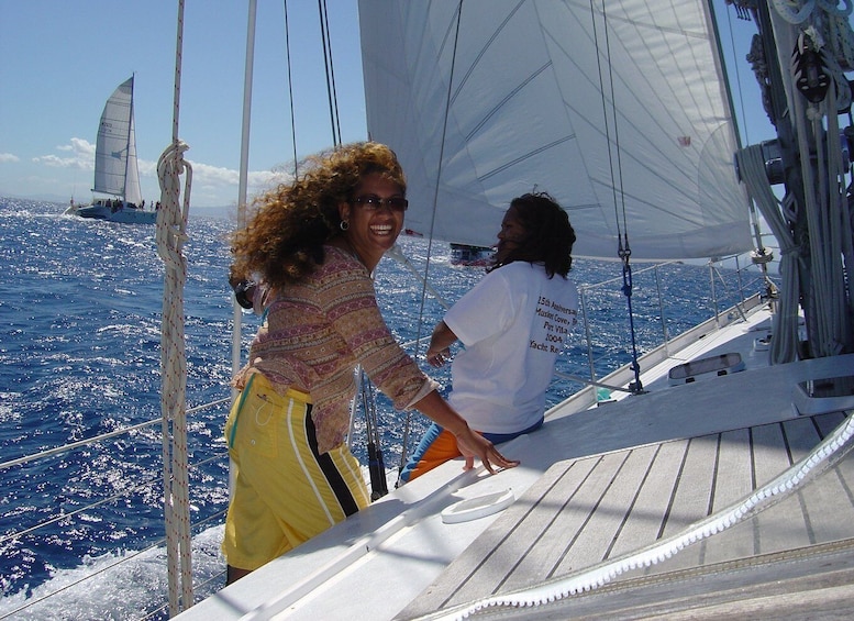 Picture 1 for Activity Bay of Islands: Awesome Day Sailing Tour with Island Stop