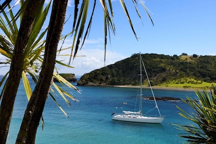 Bahía de las Islas: Impresionante excursión en velero de un día con parada ...