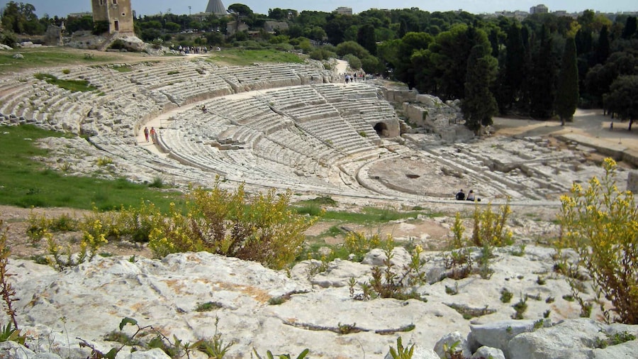 From Catania: Syracuse, Ortigia and Noto Full-Day Tour