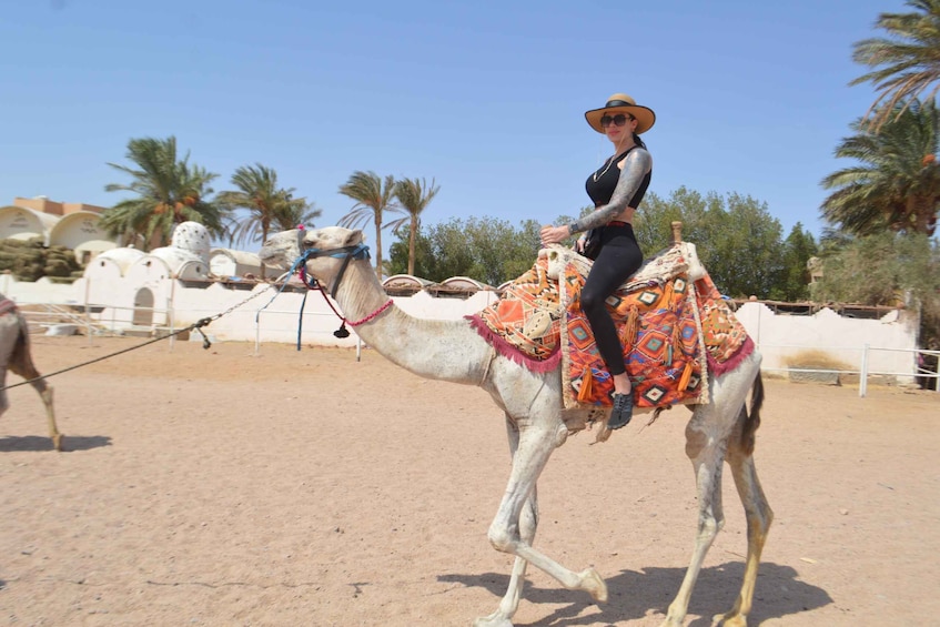 Picture 3 for Activity Makadi Bay: ATV, Sea View, Camel, Stargazing, Dinner & Show