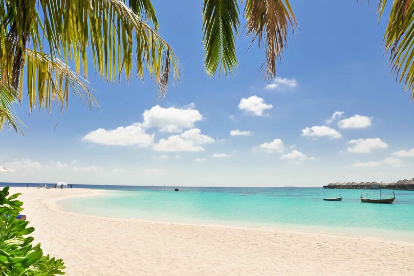 Picture 2 for Activity From Cartagena: Baru Island Quiet Beach Day Trip with Lunch