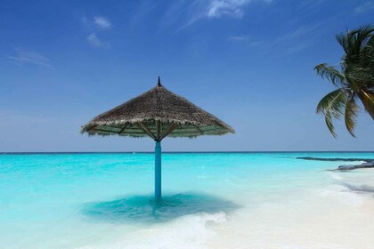 Desde Cartagena: excursión de un día a la tranquila playa de la isla de Bar...