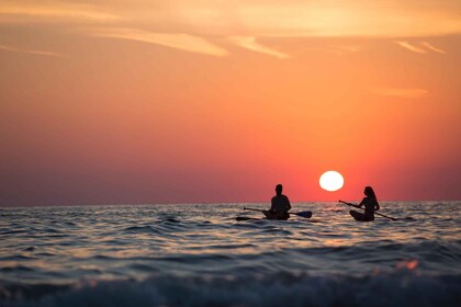 Von Cartagena aus: Tagesausflug zum ruhigen Strand der Insel Baru mit Mitta...