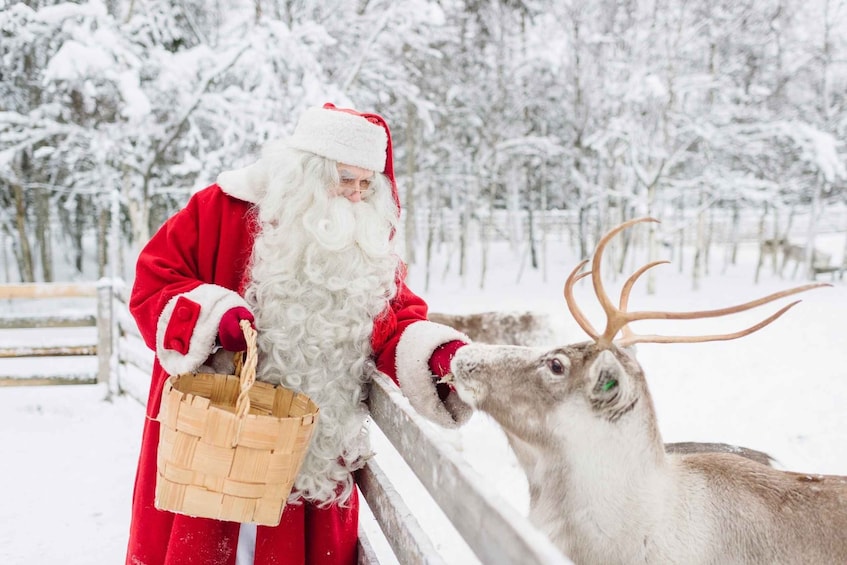 Picture 1 for Activity Rovaniemi: Santa Claus Village Visit with Hotel Pickup