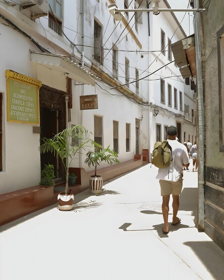 Picture 1 for Activity Zanzibar: Stone Town Guided Walking Tour