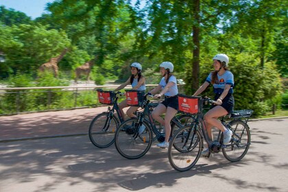 Lyon: el gran recorrido en bicicleta de norte a sur