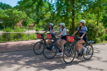 Lyon: el gran recorrido en bicicleta de norte a sur