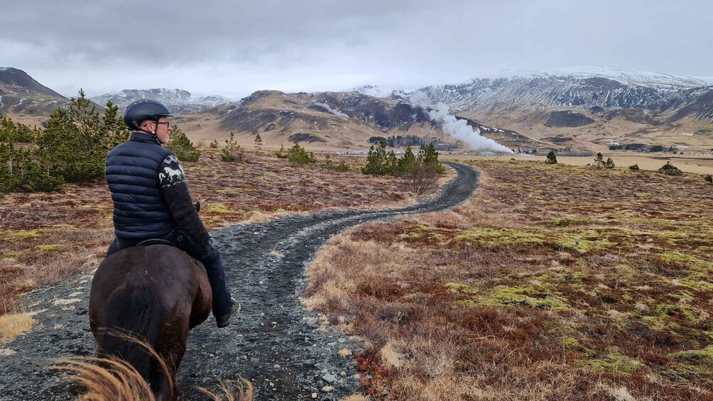 Picture 5 for Activity Horse Riding Tour in Reykjadalur (Hotspring Valley)