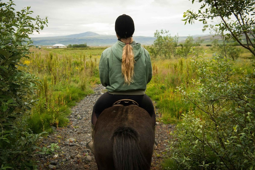 Picture 3 for Activity Horse Riding Tour in Reykjadalur (Hotspring Valley)