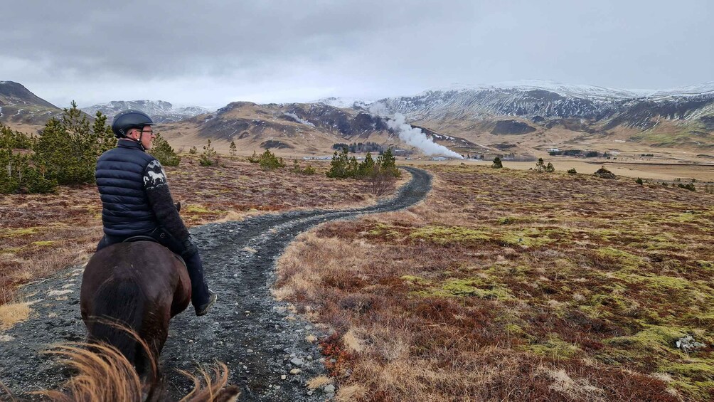 Picture 5 for Activity Hveragerdi: Reykjadalur (Hotspring Valley) Horse Riding Tour