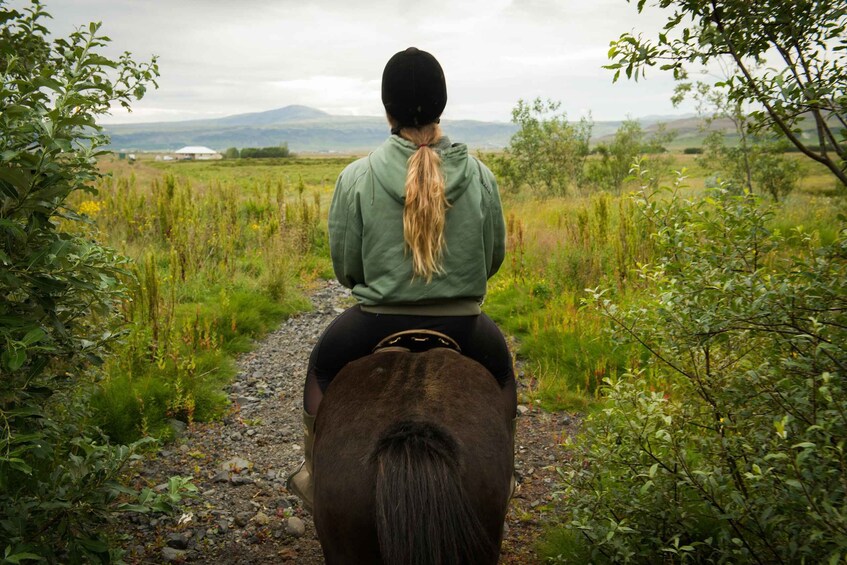 Picture 3 for Activity Hveragerdi: Reykjadalur (Hotspring Valley) Horse Riding Tour