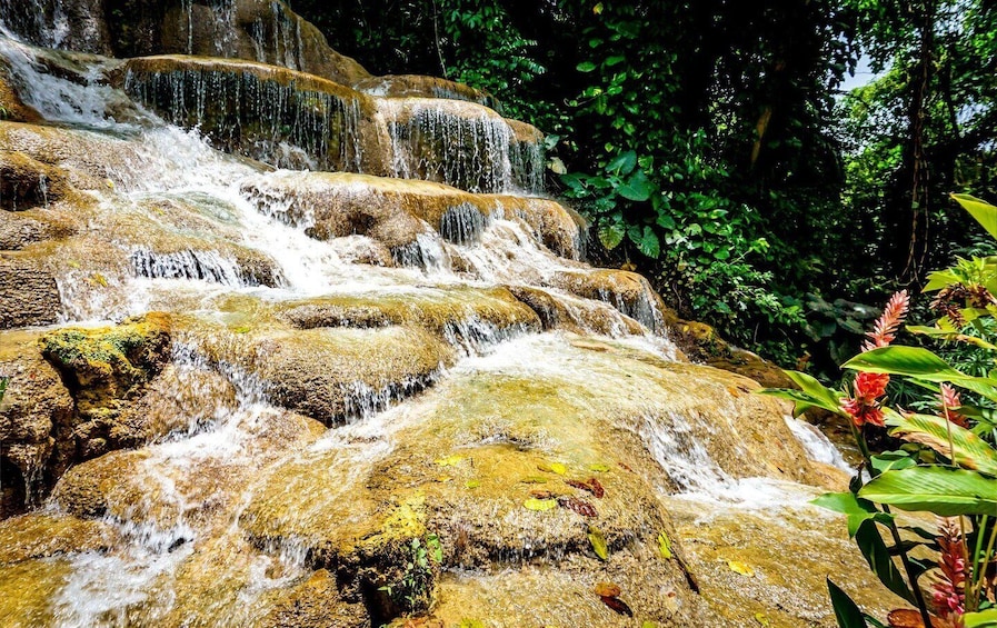 Picture 4 for Activity Konoko Falls and Park with Mini Zoo Private Tour