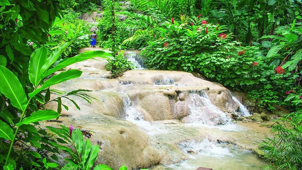 Picture 2 for Activity Konoko Falls and Park with Mini Zoo Private Tour