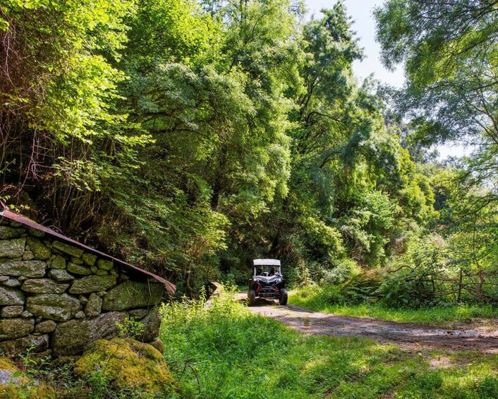 Picture 9 for Activity 2h Buggy Tour • Arcos de Valdevez • Peneda Gerês