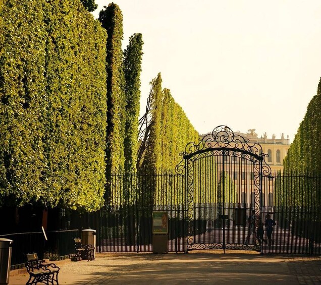 Picture 2 for Activity Private Schönbrunn Palace Tour: Entrance included