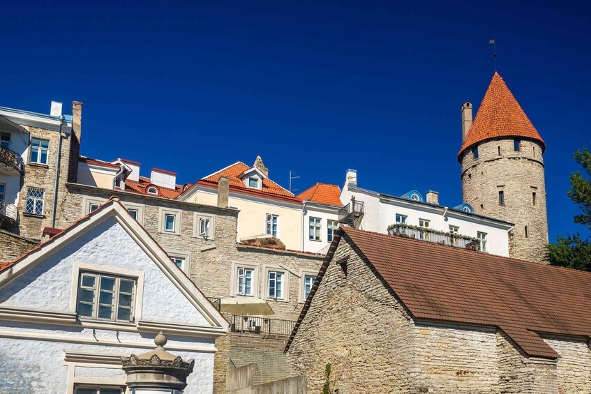 Picture 2 for Activity Tallinn: Private Exclusive History Tour with a Local Expert