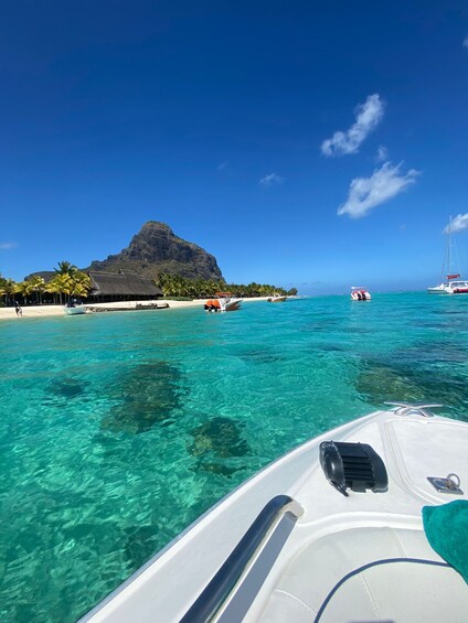 Picture 2 for Activity Mauritius Le Morne: Eco-Friendly Dolphin Watching Tour