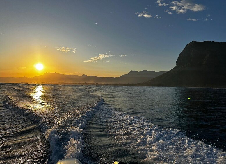 Picture 13 for Activity Mauritius Le Morne: Eco-Friendly Dolphin Watching Tour