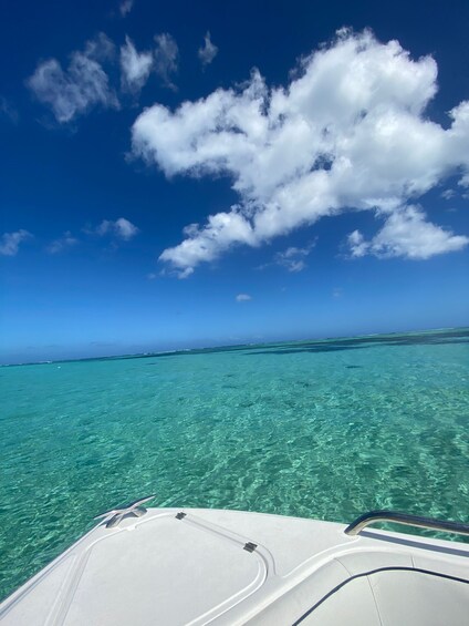 Picture 6 for Activity Mauritius Le Morne: Eco-Friendly Dolphin Watching Tour