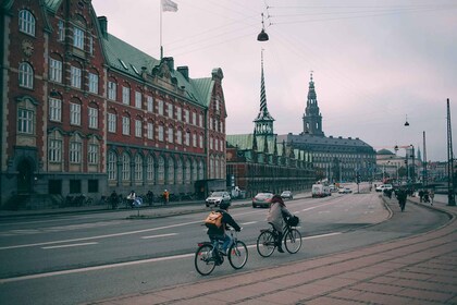 Copenhague: Visita guiada en bicicleta privada de 4 horas en francés