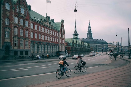 Copenhagen: Private 4-Hour Guided Bike Tour in French