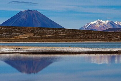 Depuis Arequipa : Excursion à la lagune de Salinas || Journée complète |