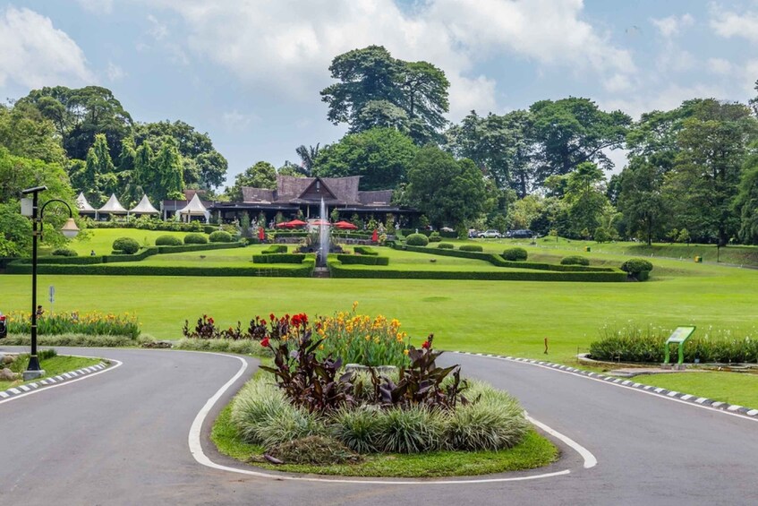 Picture 5 for Activity Jakarta: Bogor Botanical Gardens, with all Artists