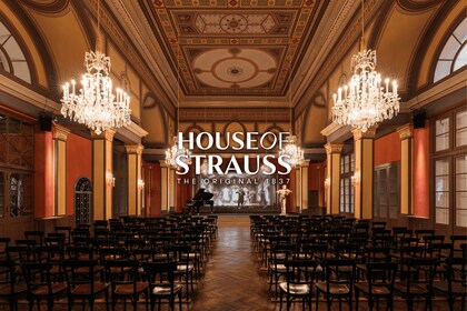 Vienna: Strauss Concert Live Singer, Orchestra & Light Show
