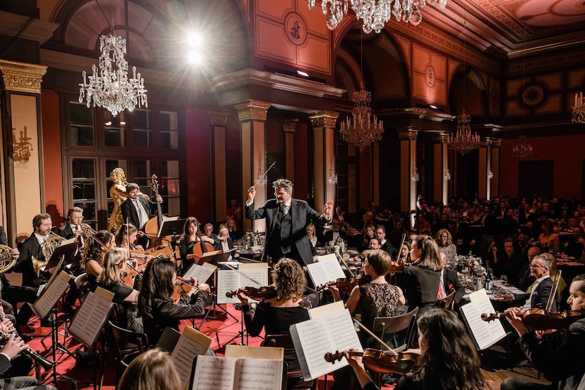 House of Strauss: Concert Show including Museum