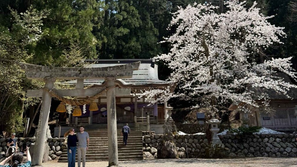 Picture 42 for Activity One-Day Private Trip to Shirakawa-go and Takayama