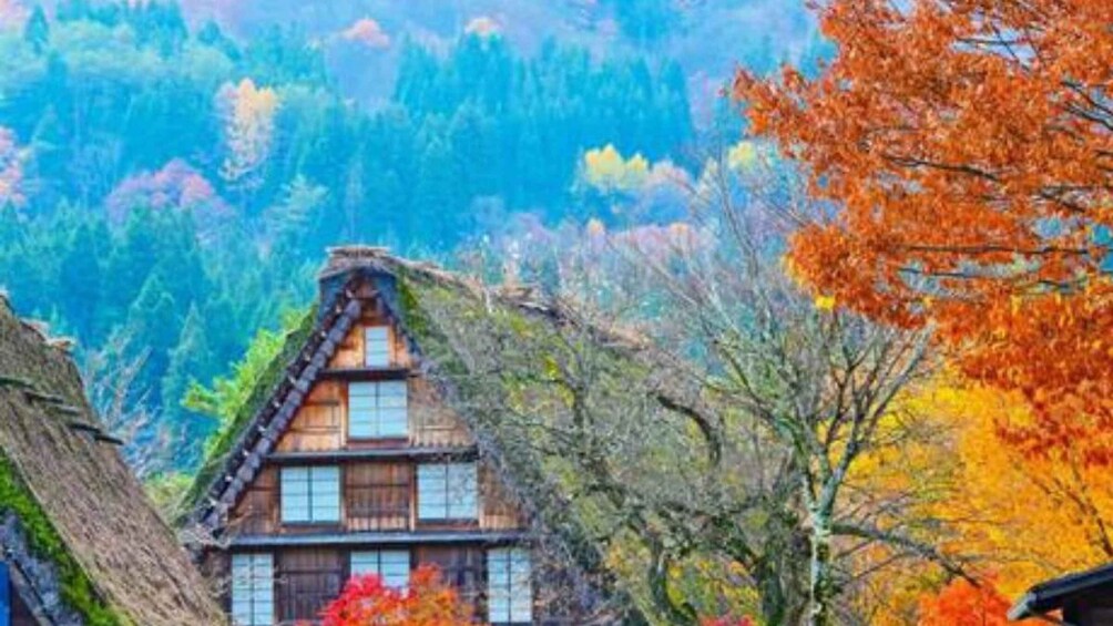 One Day Private Tour to Shirakawa-go & Takayama