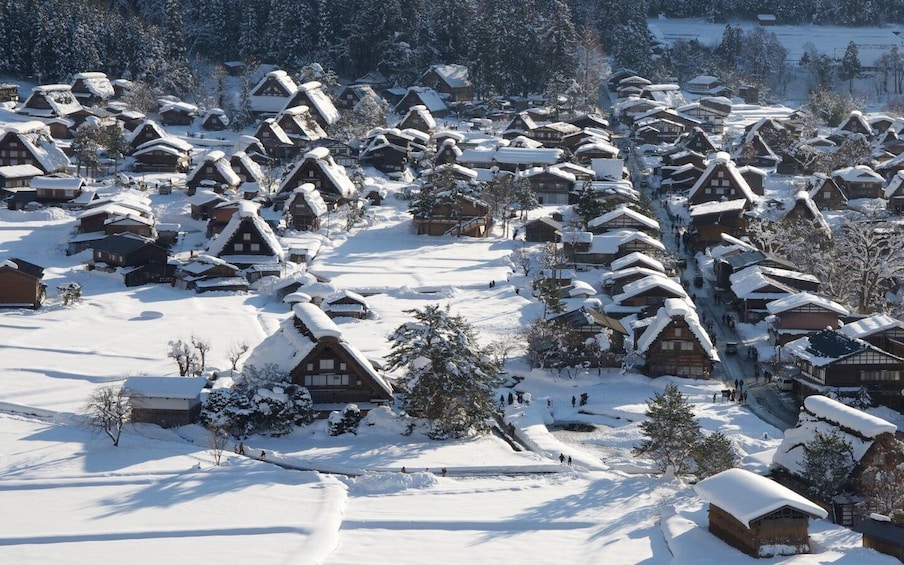 One Day Private Tour to Shirakawa-go & Takayama