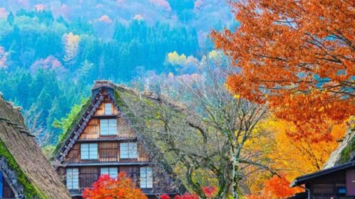 One-Day Private Trip to Shirakawa-go and Takayama