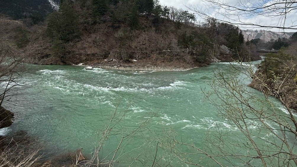Picture 26 for Activity One-Day Private Trip to Shirakawa-go and Takayama
