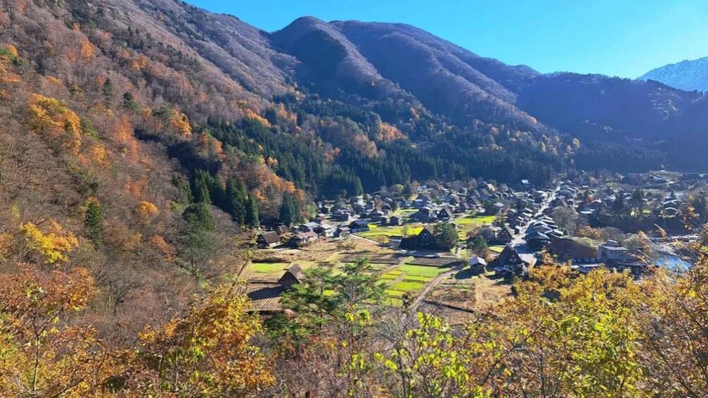 Picture 6 for Activity One-Day Private Trip to Shirakawa-go and Takayama