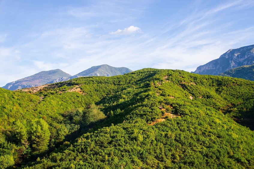 Picture 8 for Activity Tirana: Dajti Mountain Half-Day Trip with Cable Car Ticket